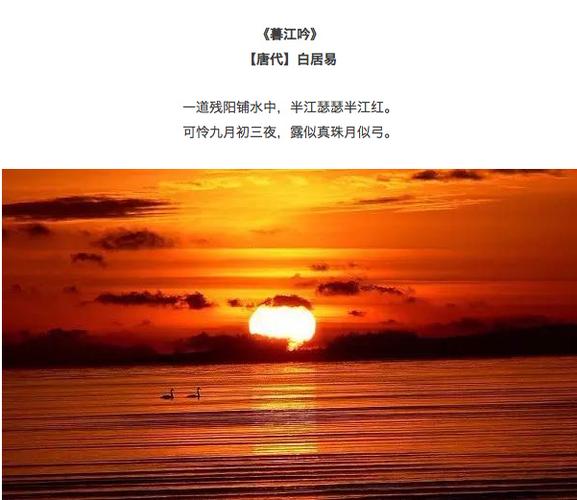 九言|看看落日与夕阳,人生处处皆是风景。