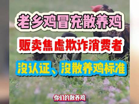 被质疑以散养鸡为噱头欺骗消费者,老乡鸡回应鸡确实非散养