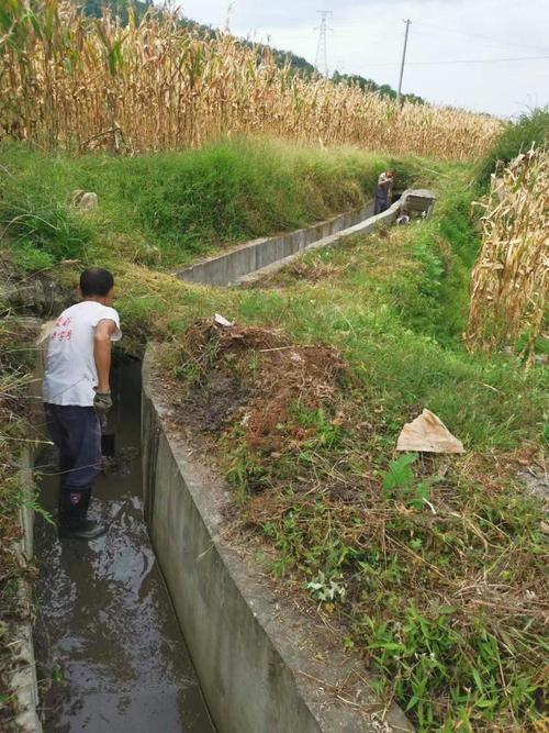 水渠维修项目:守护生命之源,筑牢生态防线