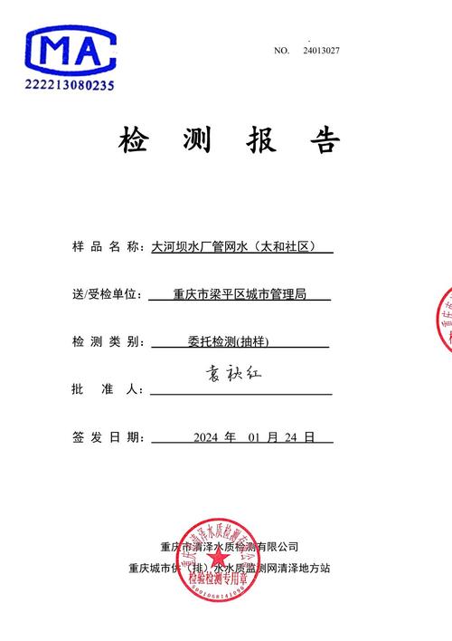 水渠河坝维修报告解读：巩固水利基础，保障民生安宁