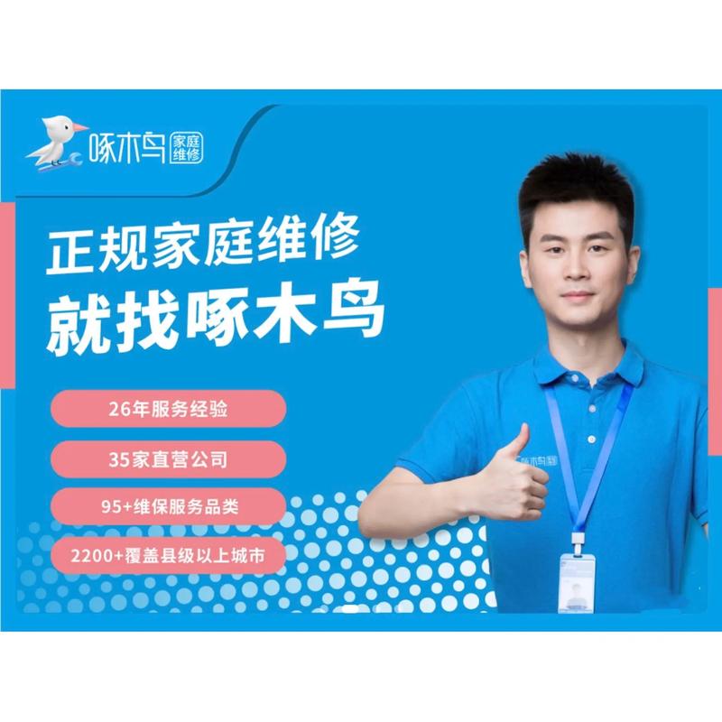 啄木鸟家庭维修:探寻我国家庭维修市场的未来之路